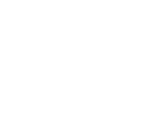 Lizzante Professional – S.O.S Crescimento